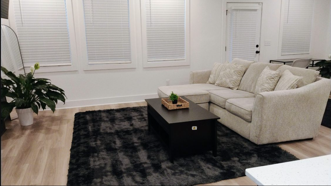 Bright living room with dust-free surfaces and clean floors