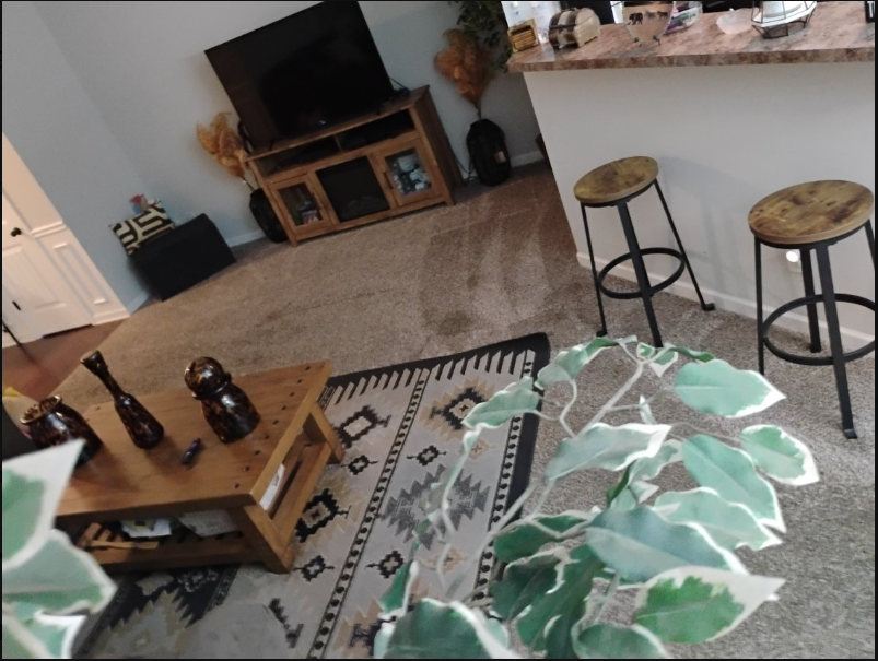 Living room and kitchen area cleaned and organized