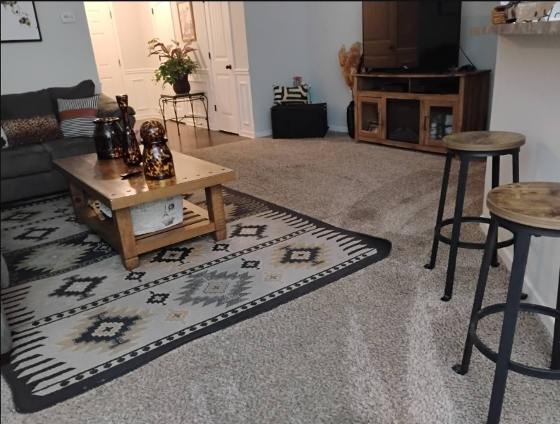 Tidy living room with freshly vacuumed carpet and rug